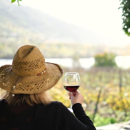 Quinta Das Casas - Douro Winery & Villas Вила Реал Екстериор снимка