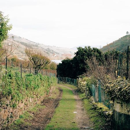 Quinta Das Casas - Douro Winery & Villas Вила Реал Екстериор снимка